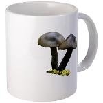 gray-brown mushrooms